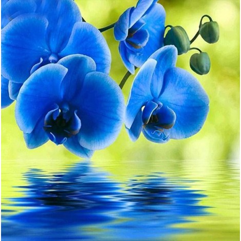 Schöne blaue Orchideen Diamond Painting