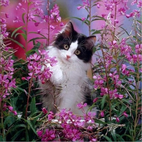 Katze spielt in Blumen