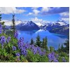 Erstaunliche Aussicht auf die Berge und blaue Blumen