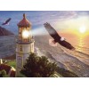 Strand Leuchtturm & fliegende Adler