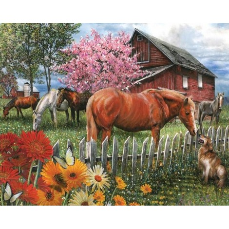 Hund & Pferde auf dem Bauernhof
