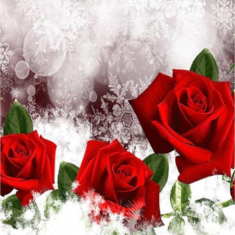 Drei rote Rosen Diam...