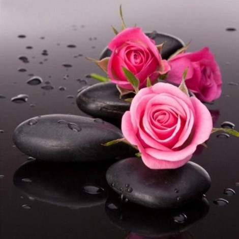 Rosa Rosen auf schwarzen Felse
