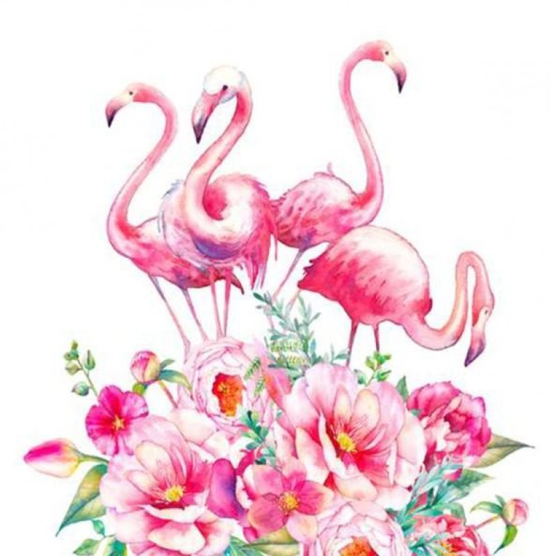Rosa Flamingos &...