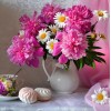 Wunderschöne rosa Pfingstrosen & Gänseblümchen