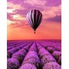 Lavendelfelder & Luftballon
