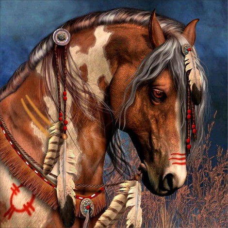 Cherokee Native American pferd