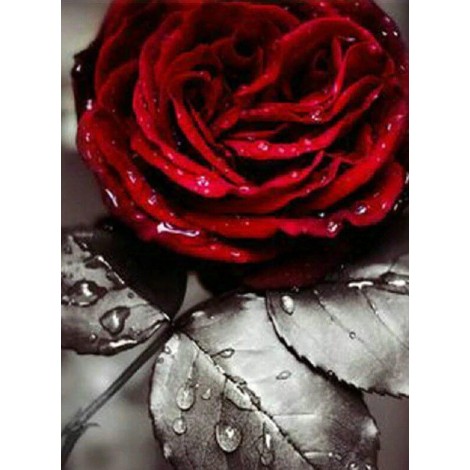 Rote Rose 5D Diamond Painting