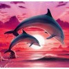 Delfin Paar Malerei Kit