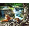 Tiger ruhtn am Wasserfall