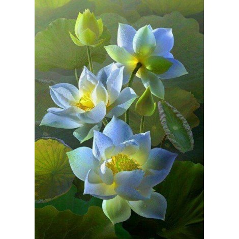 White Lotus Flowers Mal-Kit