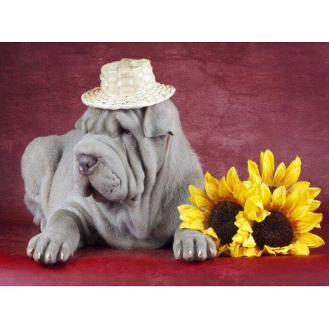 Bulldogge & Sonnenblumen
