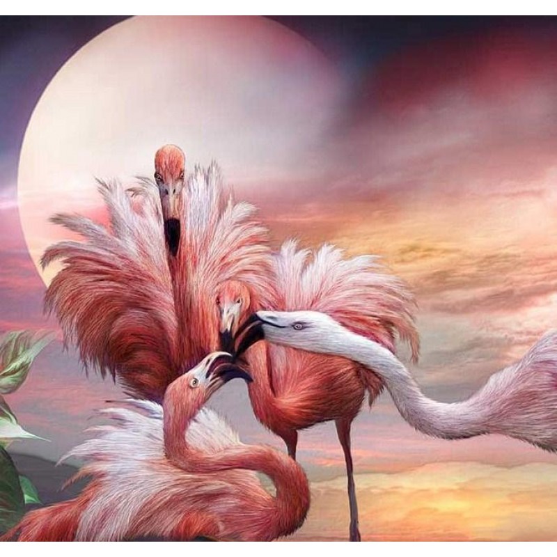 Flamingos Kuss - Mal...