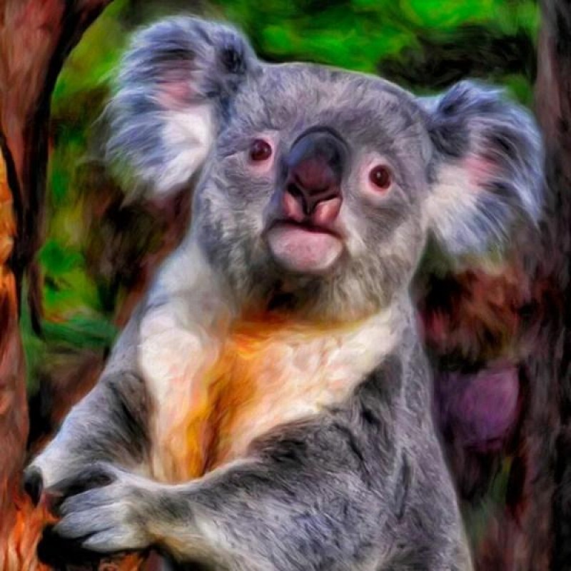 Netter Baby-Koala - ...