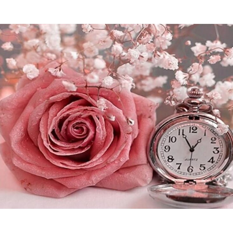 Rosa Rose & Uhr