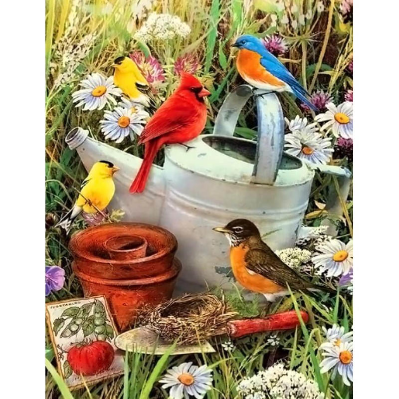 Vögel & Blumen ...