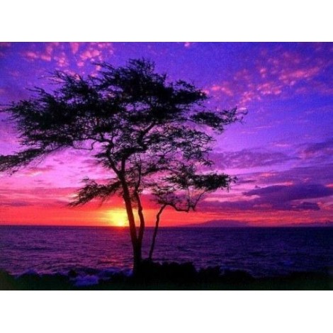 Lila Sonnenuntergang in Hawaii