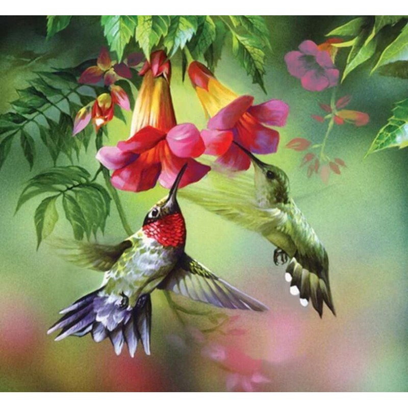 Kolibris die Blumenn...