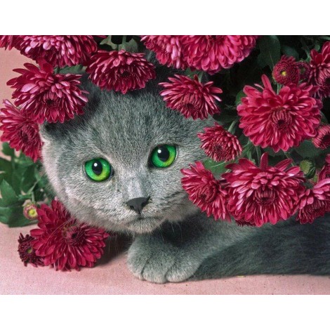Katze versteckt sich in Blumen