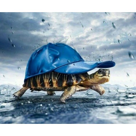 Schildkröte in einem Hut