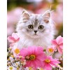 Katze sitzt in Blumen