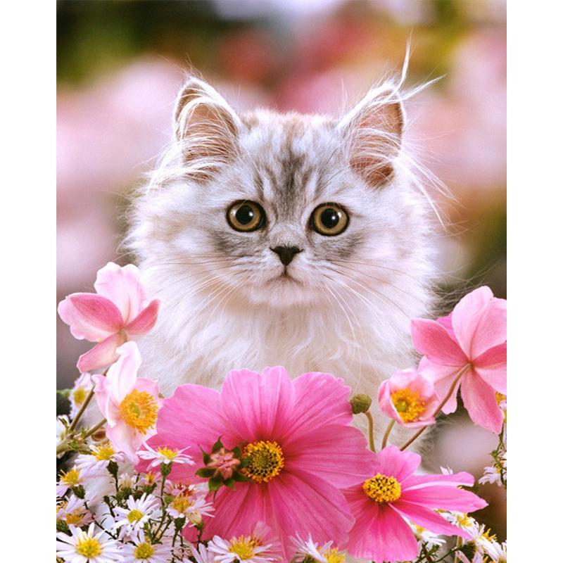 Katze sitzt in Blume...