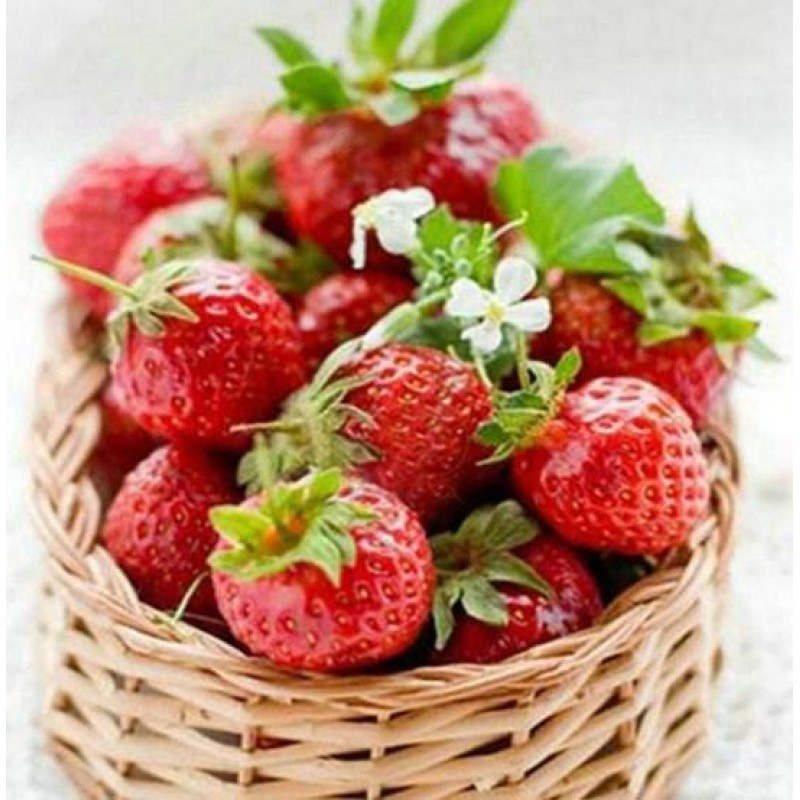 Erdbeere Korb voller...