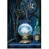 Die Zauberer Katze von Lisa Parker