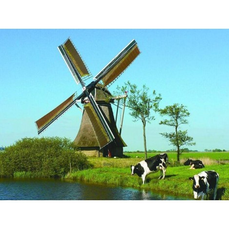 Weidende Kühe & Windmühlenmalerei
