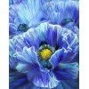 Blaue Mohnblume von Carol Cavalaris