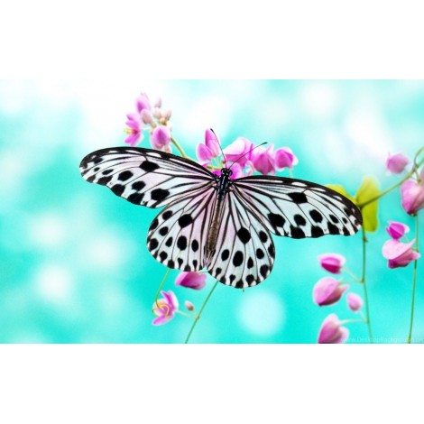 Hübscher Schmetterling - Diamond Painting Kit