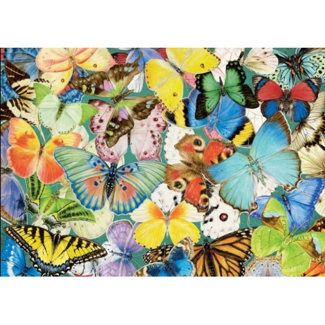 Bunte Schmetterlingsarten - Diamond Painting Kit