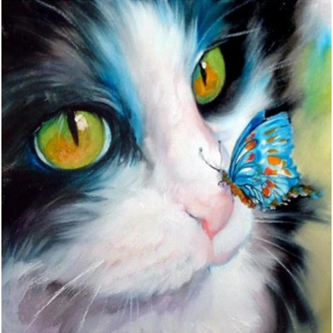 Katze mit Schmetterling auf der Nase