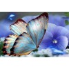 Blaue Orchideen und Schmetterling