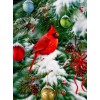 Kardinal sitzt auf Weihnachtsbaum