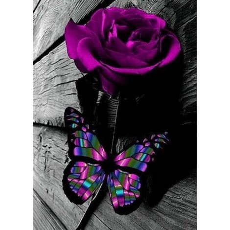 Lila Rose und Schmetterling