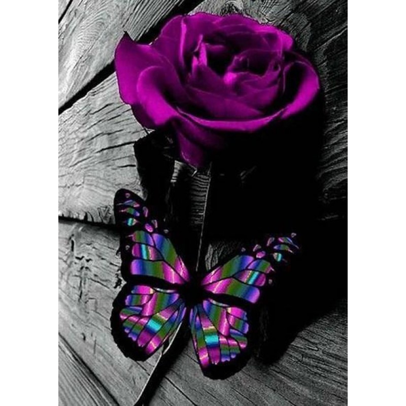 Lila Rose und Schmetterli...
