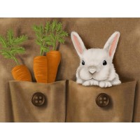 Kaninchen und Karotten DI...
