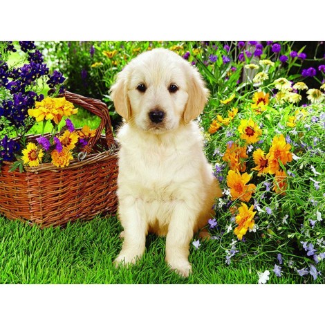 Weißer Hund sitzt in Blumen
