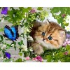 Schöne Katze und Schmetterling