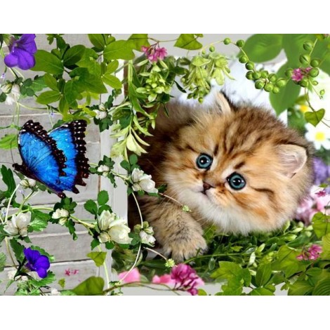 Schöne Katze und Schmetterling