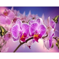 Orchideen und Schmetterli...
