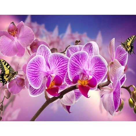 Orchideen und Schmetterlinge Malerei Kit