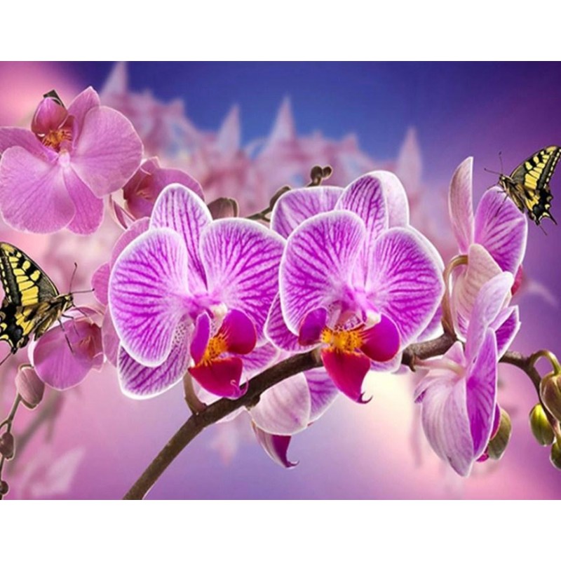Orchideen und Schmet...