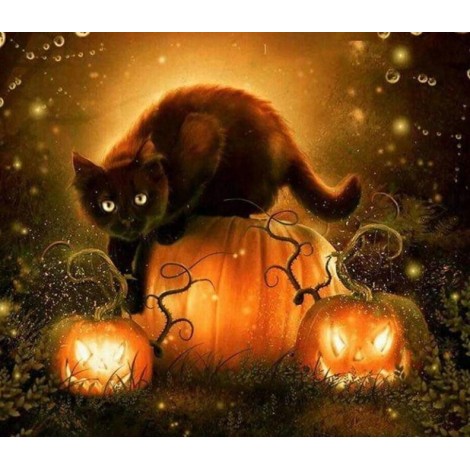 Schwarze Katze & Halloween Kürbisse