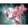 Orchideen und Schmetterlinge Diamond Painting