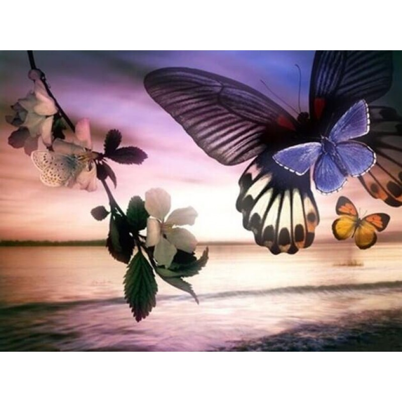 Schmetterlinge &...