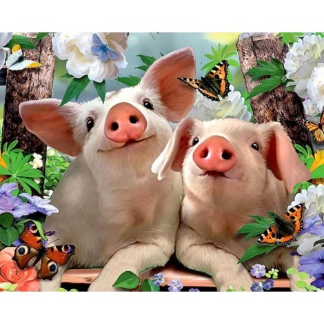 Schweine & Schmetterlinge