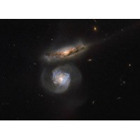 Mega-maser Galaxis