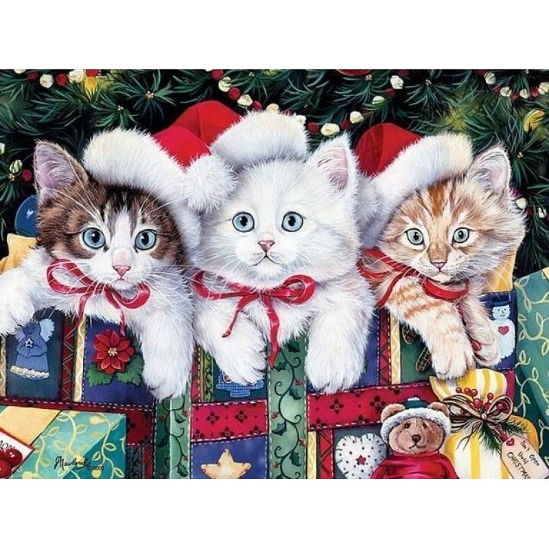 Katzen an Weihnachte...
